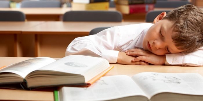 Ders calisirken Neden Uyku Gelir